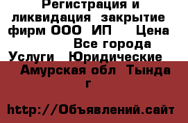 Регистрация и ликвидация (закрытие) фирм ООО, ИП.  › Цена ­ 2 500 - Все города Услуги » Юридические   . Амурская обл.,Тында г.